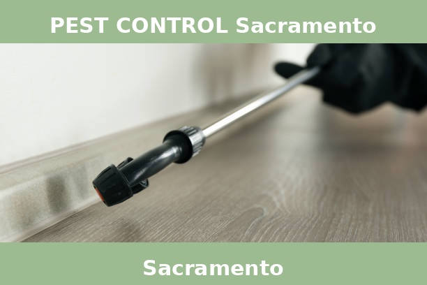PEST CONTROL Sacramento